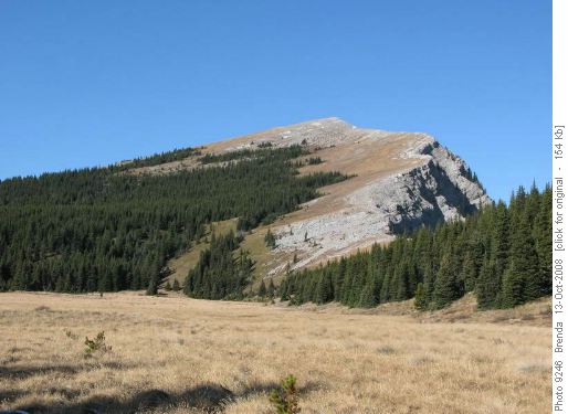 South Ridge of Sentinel Peak from Meadow