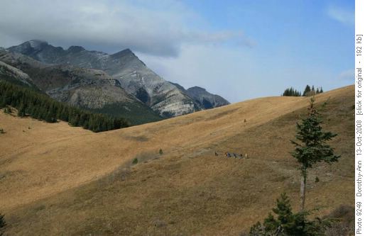 Heading back to Grass Pass in the wind