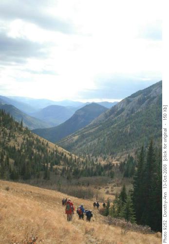 Down Gunnery Creek valley