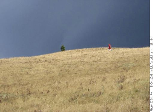 Francisco on skyline near Grass Pass