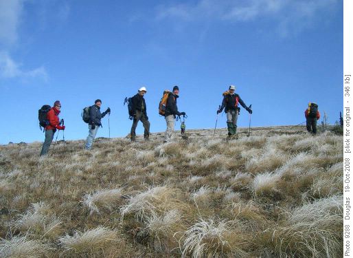 Frosted grass just below summit