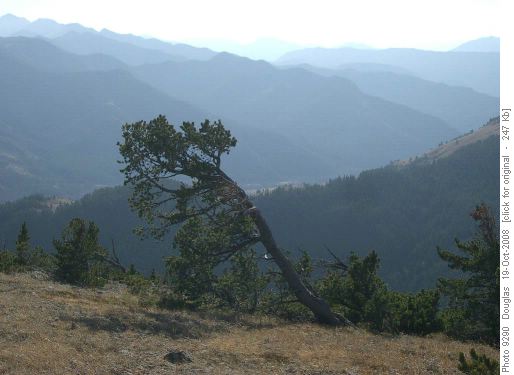 Which way do you think the wind blows?