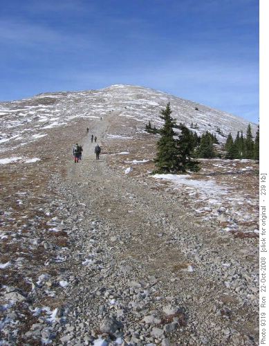 Looks cold climbing up Moose