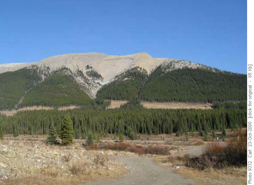 Mount Livingstone from Isolation Creek road