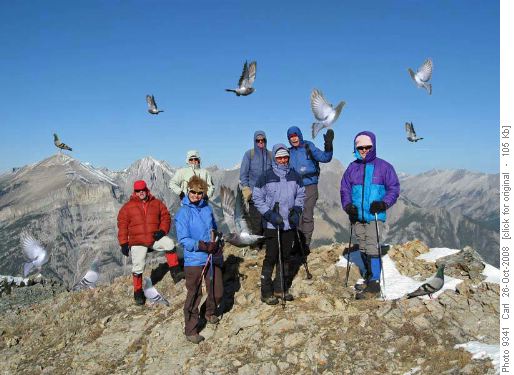 Are you sure this is Pigeon Mtn?