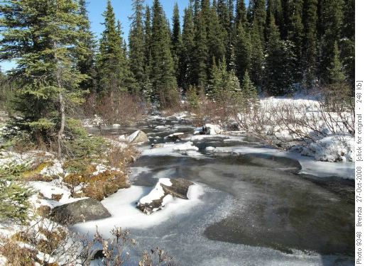 Ice forming on Twin Creek