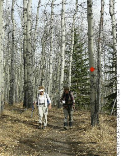 Upper Windy Point Trail