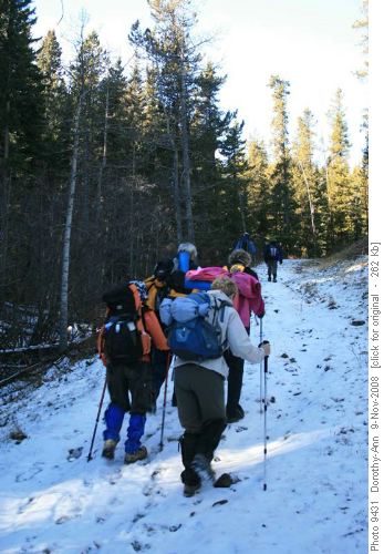 Iron Springs trail in shady section
