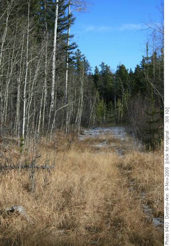 Start of Loggers Loop ski trail