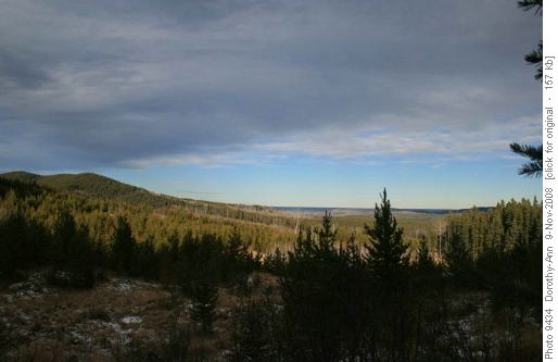 View from new ski trail
