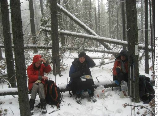 November lunch in the foothills .... Wally's thermometer