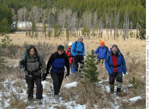 Heading out of the meadows