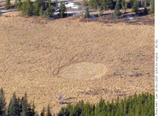 A crop circle near our cars?