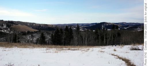 Carey Ridge, hiking South just beyond the summit