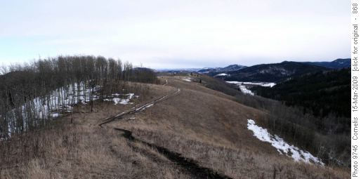 Grassy Carey Ridge, hiking South towards the Trailhead
