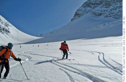 April Powder on Robertson