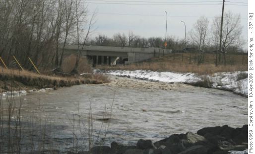 Fish Creek higher and muddier than usual