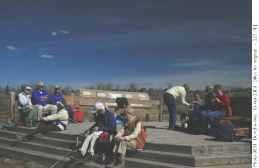 Lunch at the edge of former Heronry