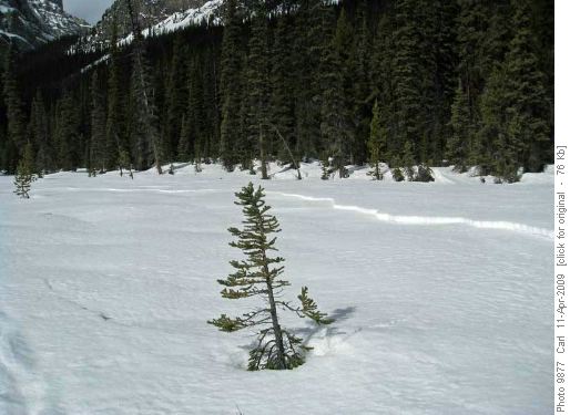 Whumpf and crack caused by photographer's last step!'