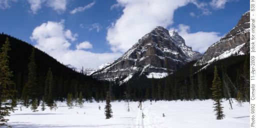 Looking West along Paradise Creek towards Sheol Mt (2,779m)