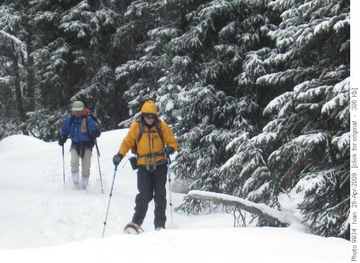 Taylor L./Sim,Damian/