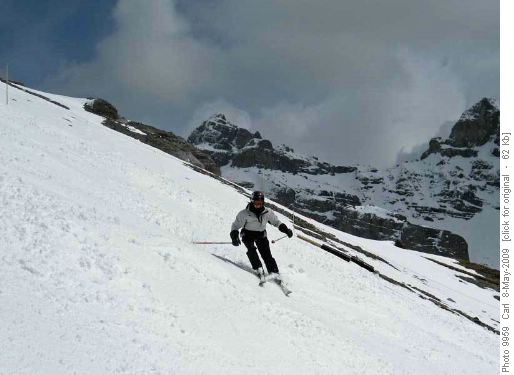 Ginger on Upper Scapegoat (Mt Howard Douglas in background)