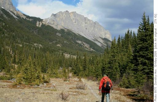 Wally on trail with Yamnuska in view