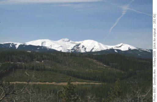 Moose Mtn shrouded in recent snow