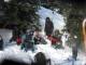 previous photo