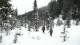 previous photo
