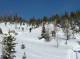 previous photo