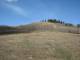 next photo
