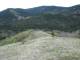 previous photo