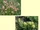 next photo