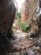 previous photo