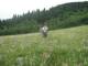 next photo