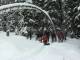 previous photo