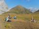 previous photo