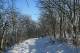 previous photo