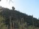 previous photo