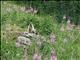 previous photo