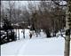 next photo