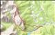 next photo