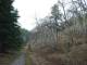 previous photo