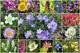 next photo