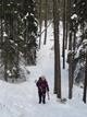 previous photo