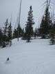 previous photo