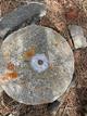 next photo