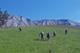 next photo