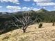 previous photo